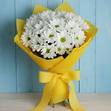 Букет цветов из:  Хризантемы в Эртиле
