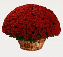 Премиум букет из: Розы в Эртиле